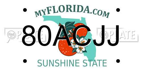80ACJJ Florida License Plate