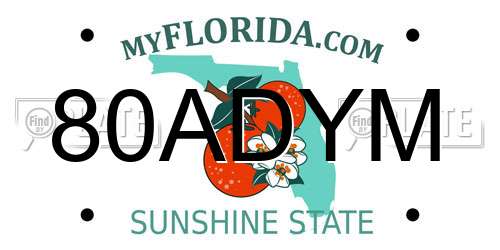 80ADYM Florida License Plate