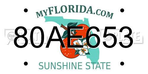 80AE653 Florida License Plate