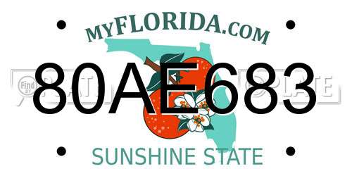 80AE683 Florida License Plate