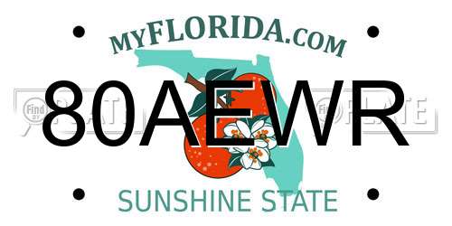 80AEWR Florida License Plate
