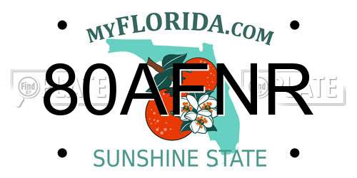 80AFNR Florida License Plate