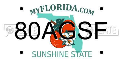 80AGSF Florida License Plate
