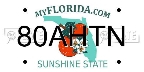 80AHTN Florida License Plate