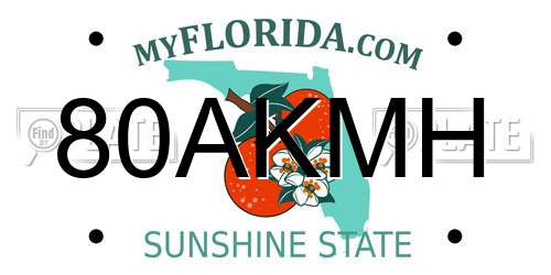 80AKMH Florida License Plate