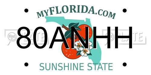 80ANHH Florida License Plate