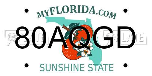 80AQGD Florida License Plate