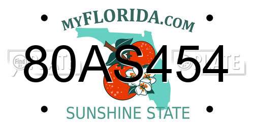 80AS454 Florida License Plate