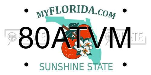 80ATVM Florida License Plate