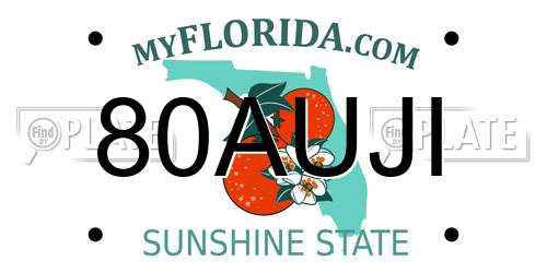 80AUJI Florida License Plate