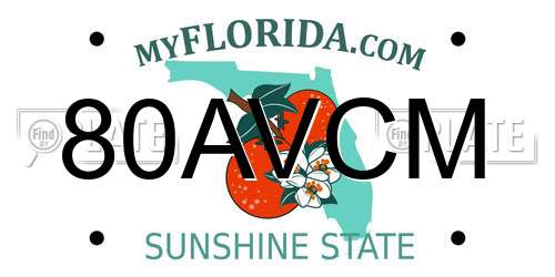 80AVCM Florida License Plate