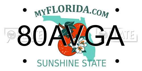 80AVGA Florida License Plate