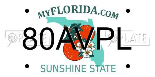 80AVPL Florida License Plate