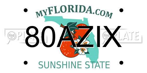 80AZIX Florida License Plate