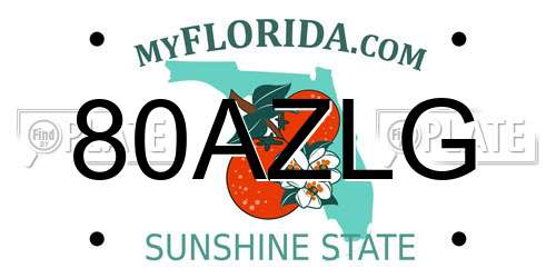 80AZLG Florida License Plate