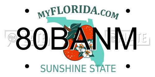 80BANM Florida License Plate