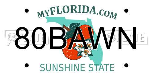 80BAWN Florida License Plate