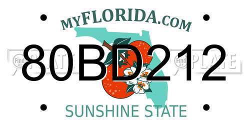 80BD212 Florida License Plate