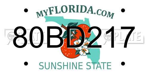 80BD217 Florida License Plate