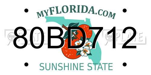 80BD712 Florida License Plate