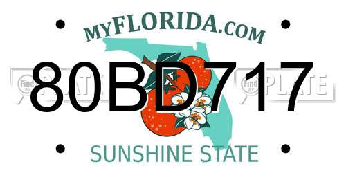80BD717 Florida License Plate