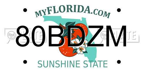 80BDZM Florida License Plate