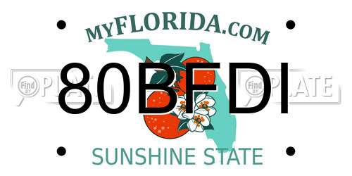 80BFDI Florida License Plate