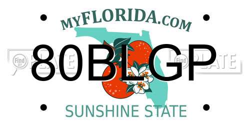 80BLGP Florida License Plate