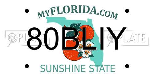 80BLIY Florida License Plate