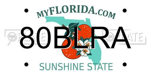 80BLRA Florida License Plate