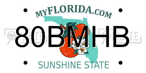 80BMHB Florida License Plate