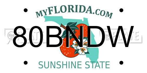 80BNDW Florida License Plate