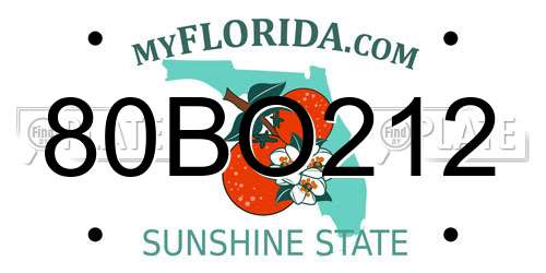 80BO212 Florida License Plate