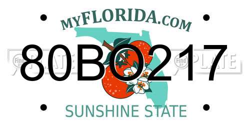80BO217 Florida License Plate