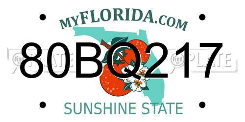 80BQ217 Florida License Plate