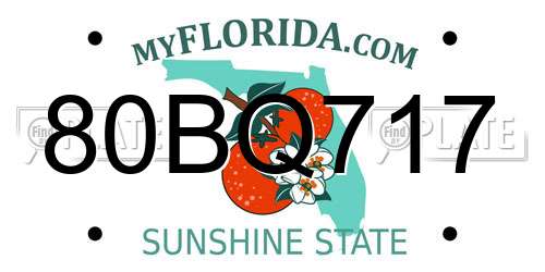 80BQ717 Florida License Plate