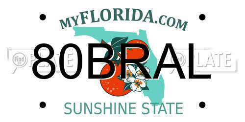80BRAL Florida License Plate