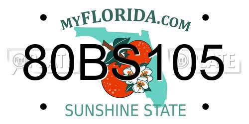 80BS105 Florida License Plate
