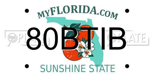 80BTIB Florida License Plate
