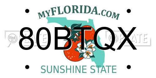 80BTQX Florida License Plate
