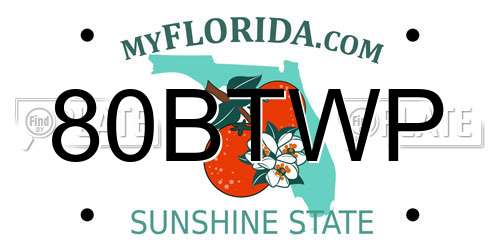 80BTWP Florida License Plate