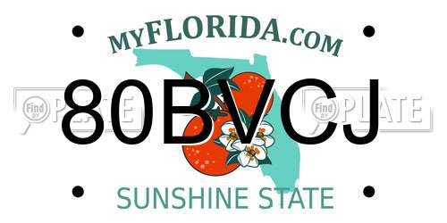 80BVCJ Florida License Plate