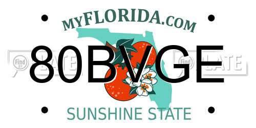 80BVGE Florida License Plate