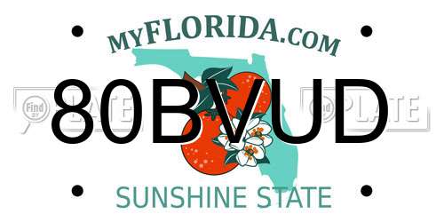 80BVUD Florida License Plate