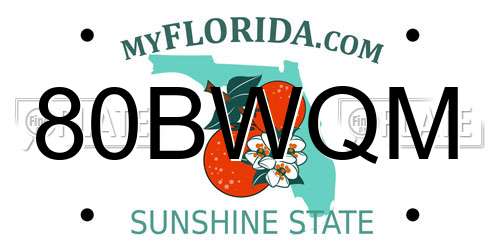 80BWQM Florida License Plate