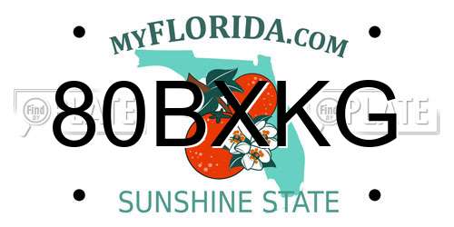 80BXKG Florida License Plate