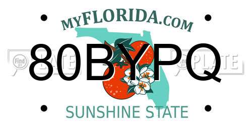 80BYPQ Florida License Plate