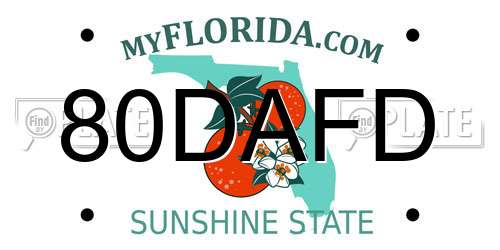 80DAFD Florida License Plate