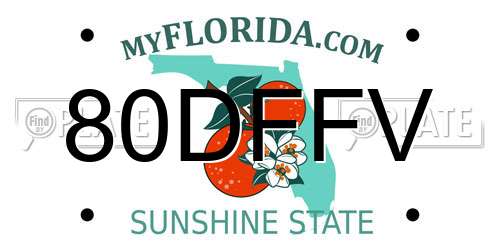 80DFFV Florida License Plate