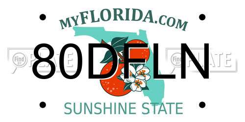 80DFLN Florida License Plate